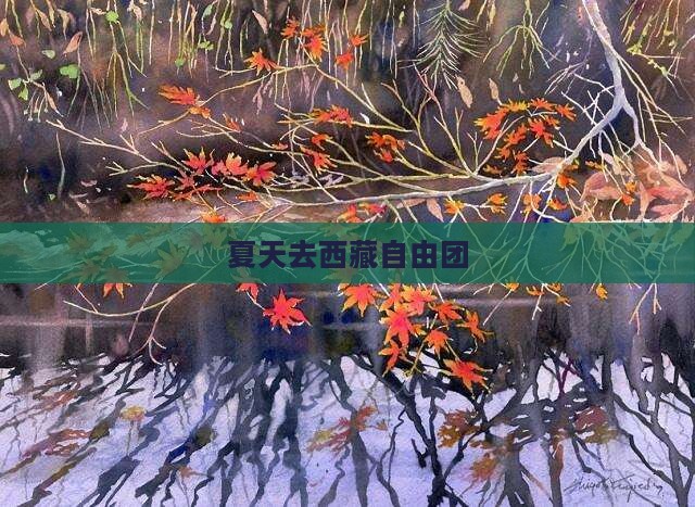 夏天去西藏自由团
