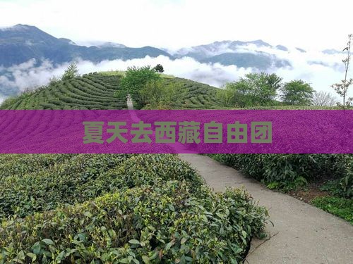 夏天去西藏自由团