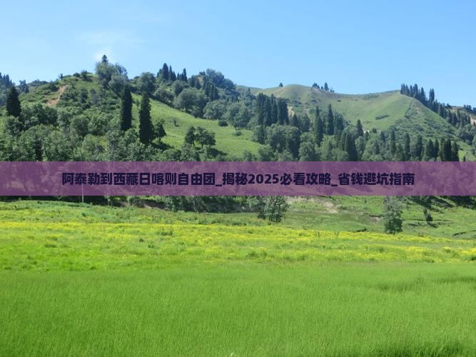 阿泰勒到西藏日喀则自由团