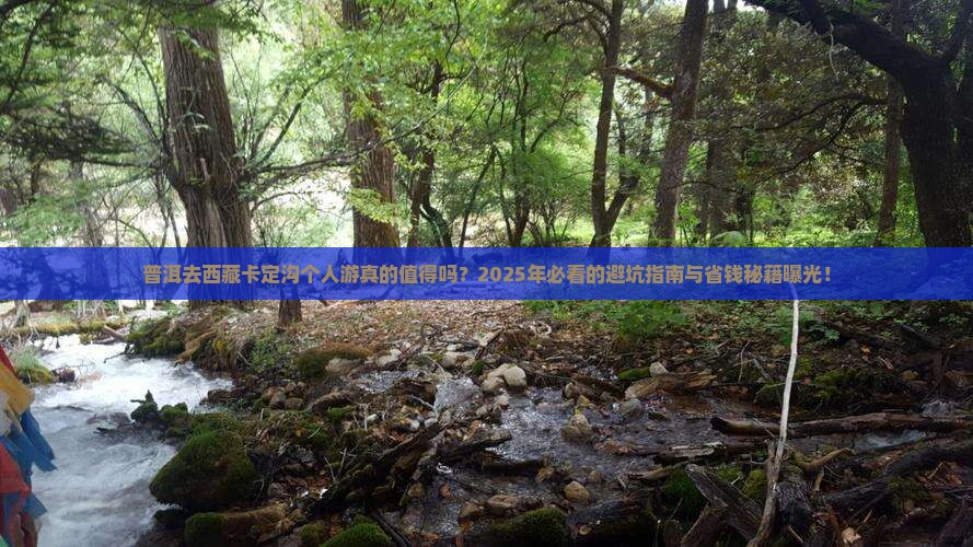 普洱去西藏卡定沟个人游