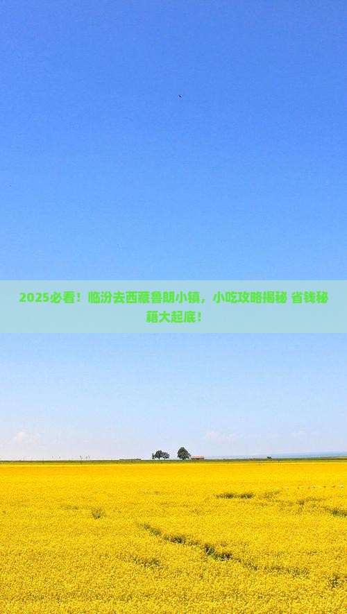 临汾到西藏鲁朗小镇旅游小吃