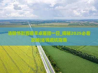 清明节到西藏羊卓雍措一日