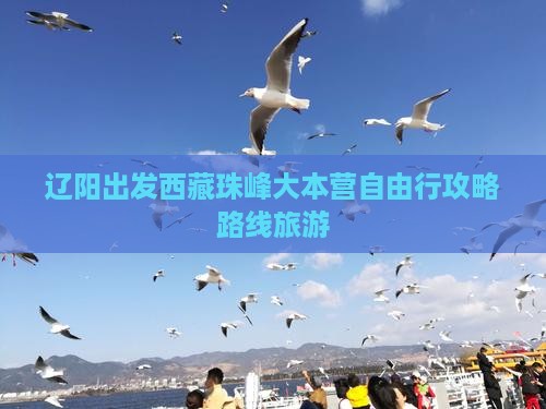 辽阳到西藏珠峰大本营自由行