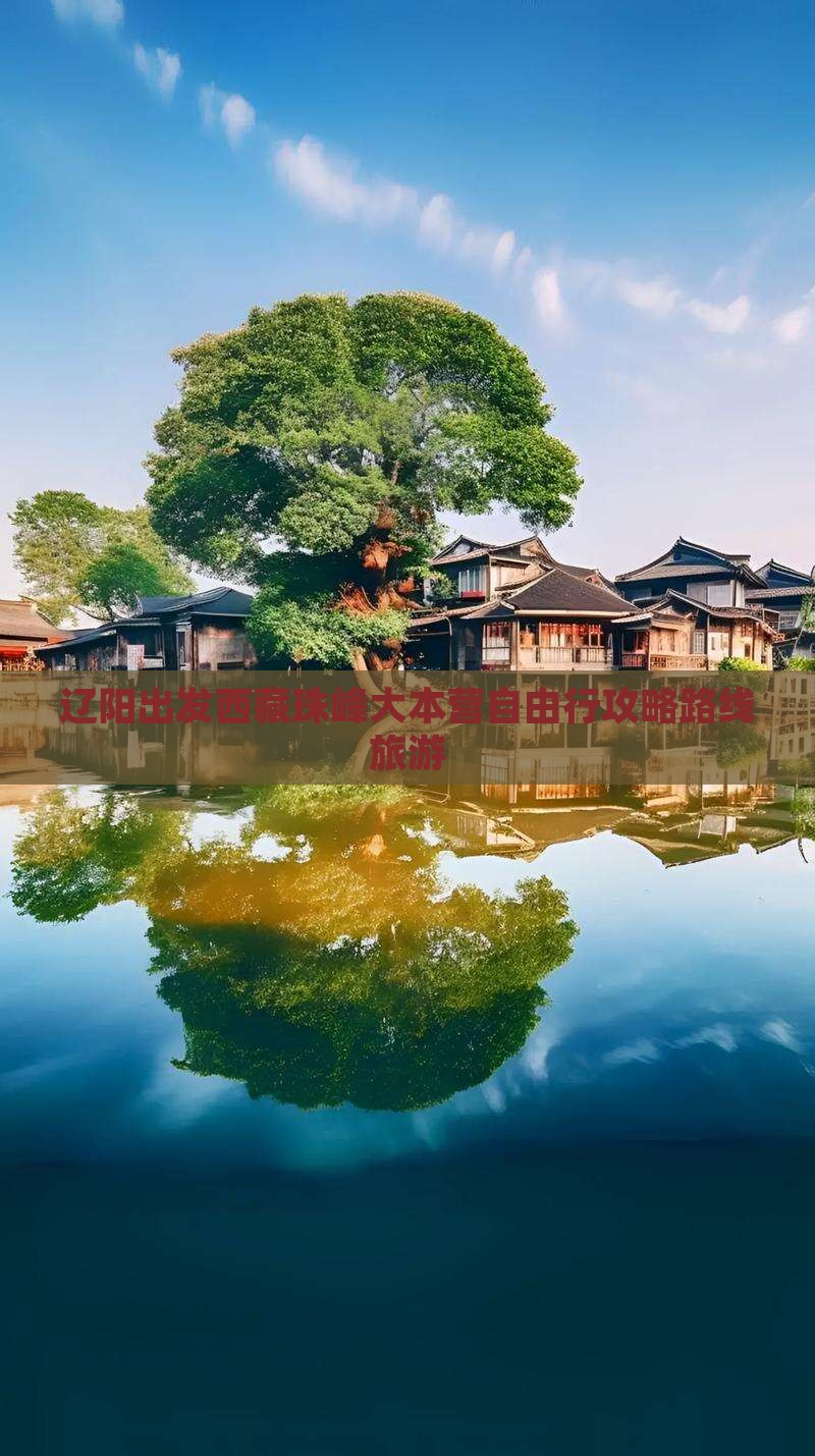 辽阳到西藏珠峰大本营自由行