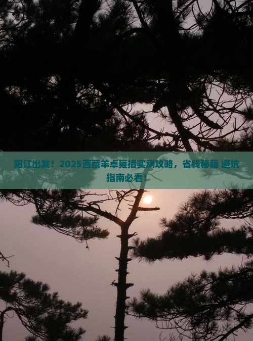 阳江到西藏羊卓雍措攻略