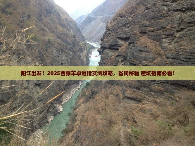 阳江到西藏羊卓雍措攻略