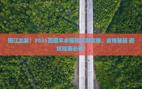 阳江到西藏羊卓雍措攻略