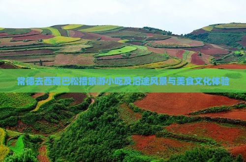 常德去西藏巴松措旅游小吃
