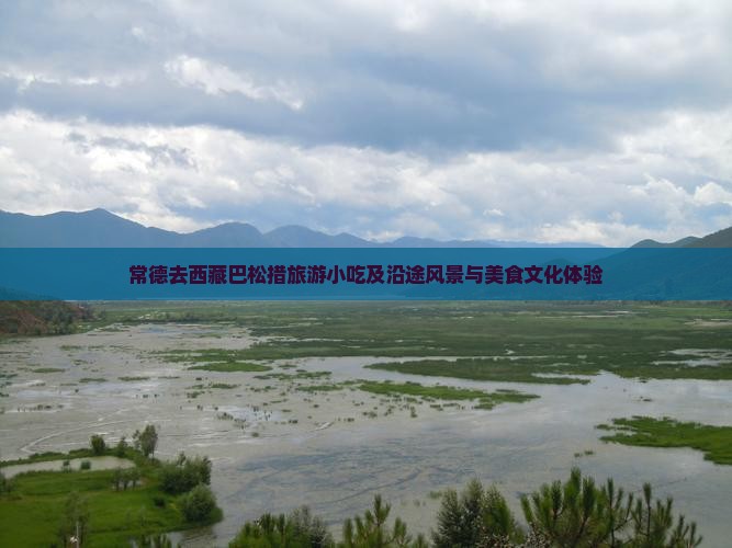 常德去西藏巴松措旅游小吃