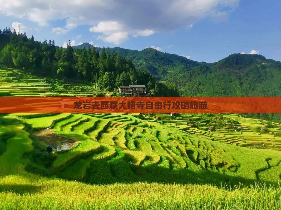 龙岩去西藏大昭寺自由行