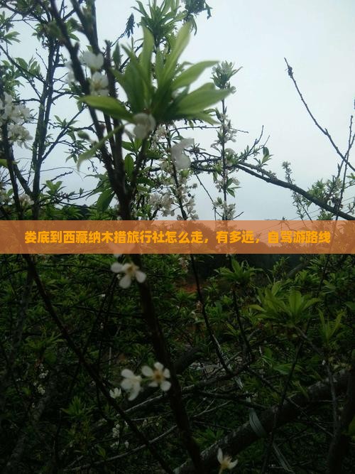 娄底到西藏纳木措旅行社