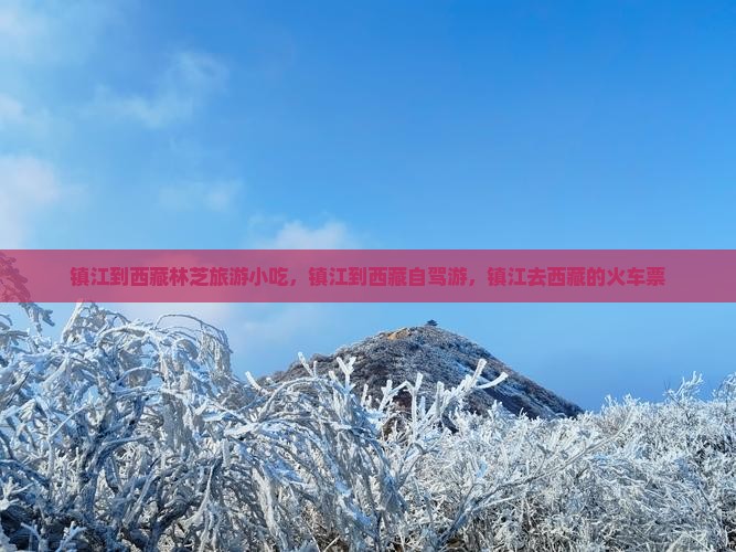 镇江到西藏林芝旅游小吃