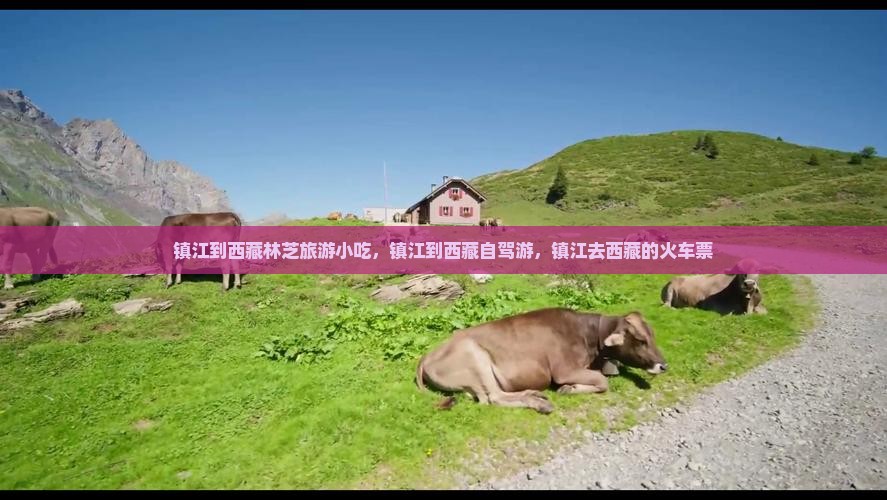 镇江到西藏林芝旅游小吃