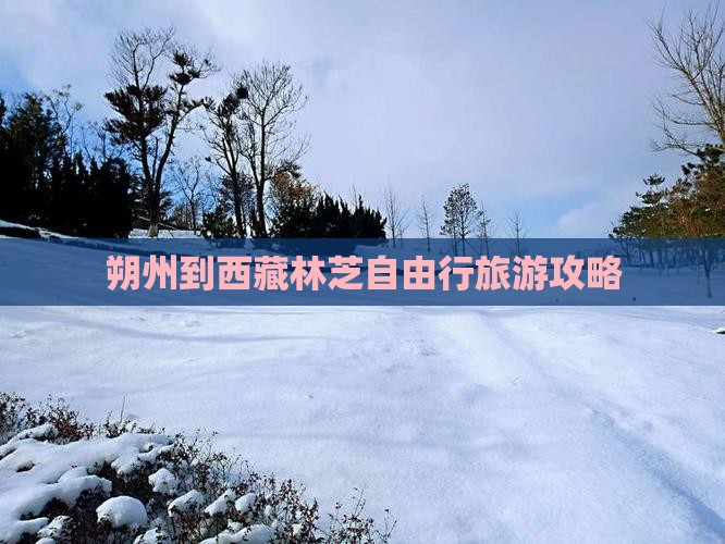 朔州到西藏林芝自由行 朔州到西藏林芝自由行
