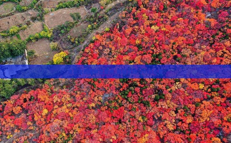 金昌去西藏林芝景点