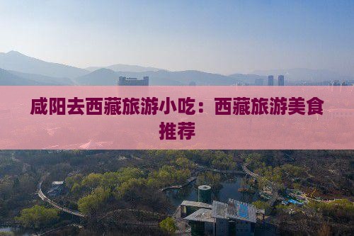 咸阳去西藏旅游小吃