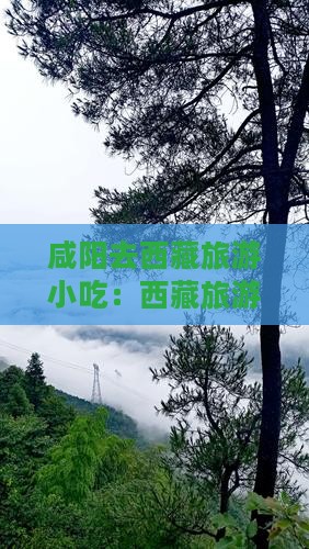 咸阳去西藏旅游小吃