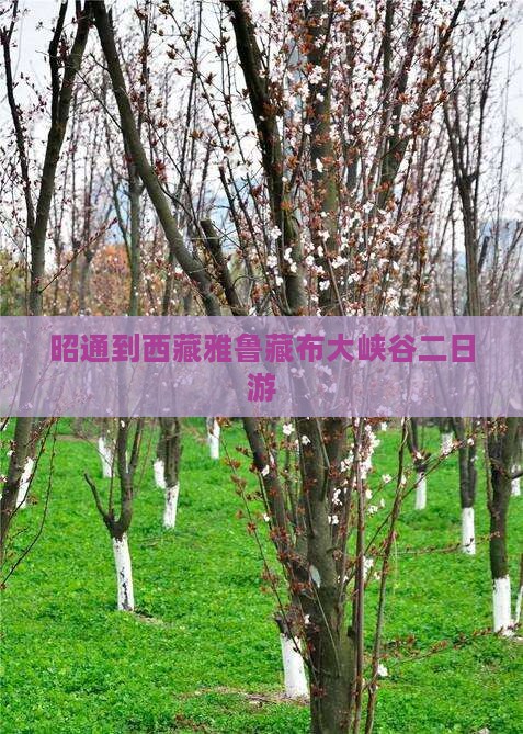 昭通到西藏雅鲁藏布大峡谷二日游