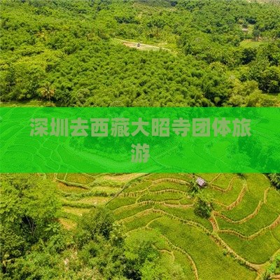深圳去西藏大昭寺团体旅游
