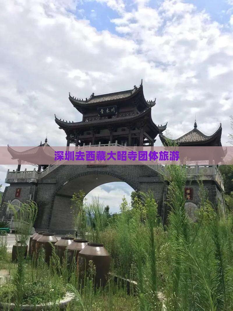 深圳去西藏大昭寺团体旅游