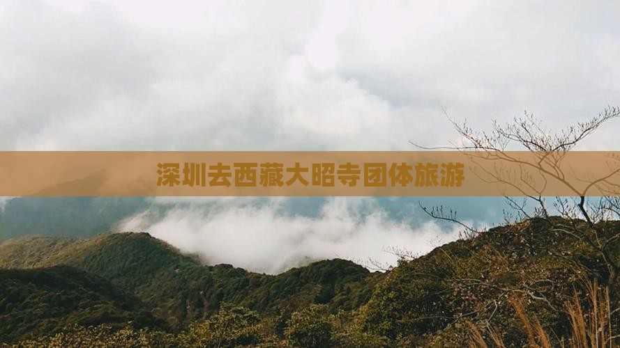 深圳去西藏大昭寺团体旅游