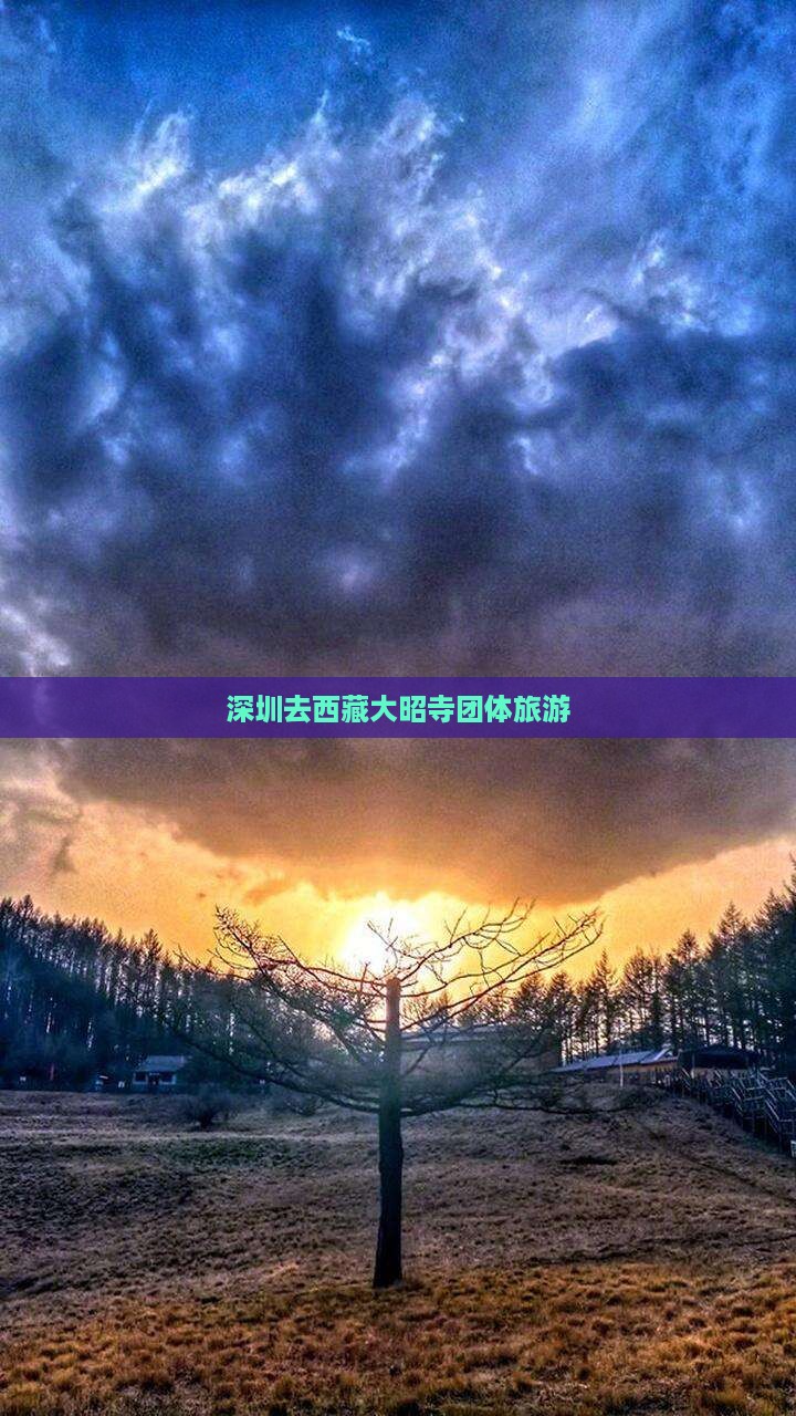 深圳去西藏大昭寺团体旅游