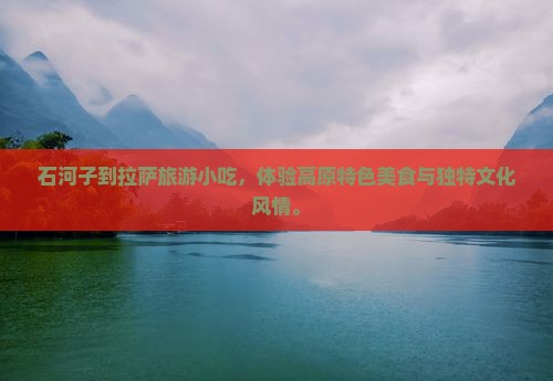 石河子到西藏拉萨旅游小吃