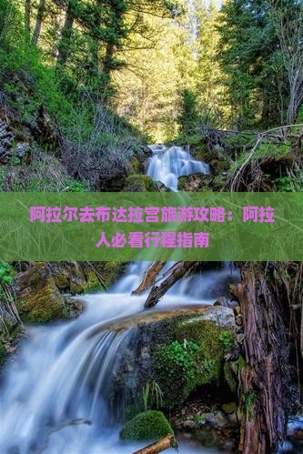 阿拉尔去西藏布达拉宫个人游