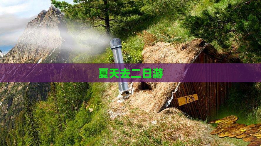 夏天去西藏二日游