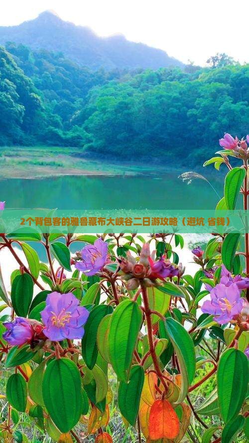 博尔塔拉去西藏雅鲁藏布大峡谷二日游
