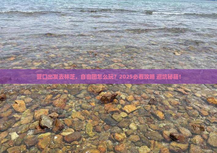 营口去西藏林芝自由团