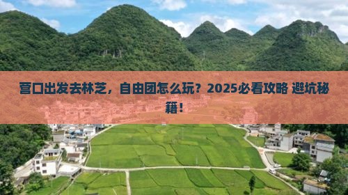 营口去西藏林芝自由团