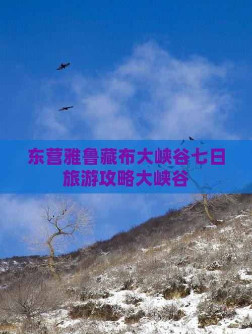 东营去西藏雅鲁藏布大峡谷七日游