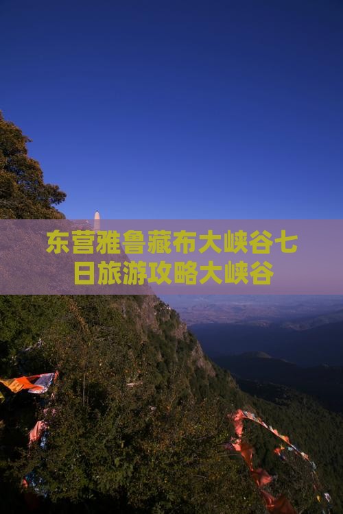 东营去西藏雅鲁藏布大峡谷七日游