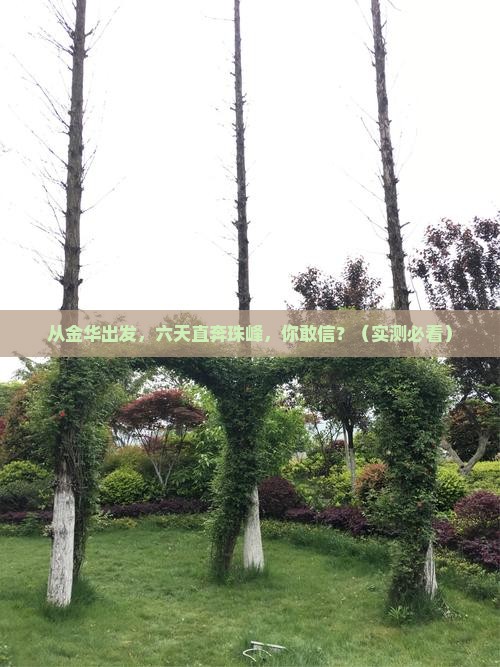 金华去西藏珠峰大本营六日游