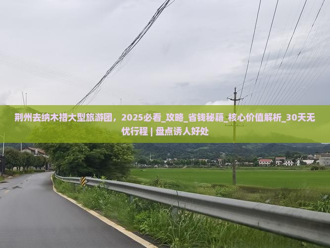 荆州去西藏纳木措大型旅游团