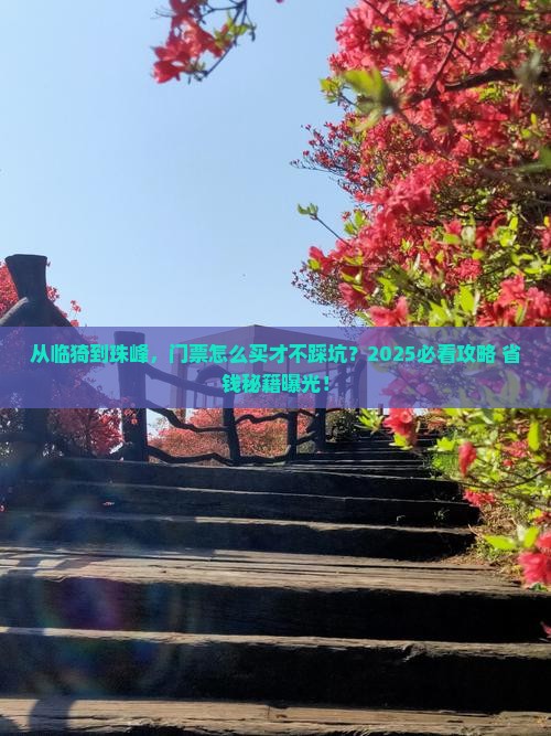 临猗到西藏珠峰大本营门票
