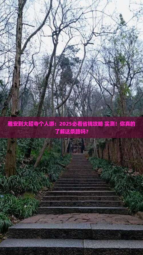 雅安到西藏大昭寺个人游