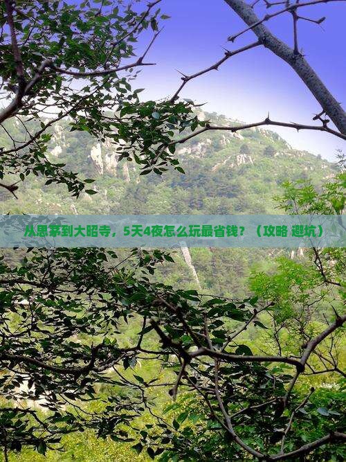 思茅到西藏大昭寺门票