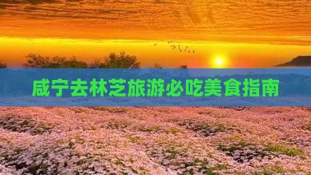 咸宁去西藏林芝旅游小吃