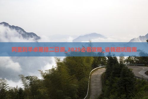阿里到西藏羊卓雍措二日游