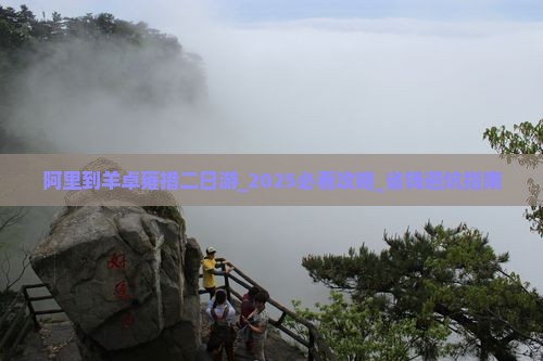 阿里到西藏羊卓雍措二日游