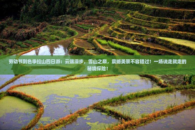 劳动节到西藏色季拉山四日游