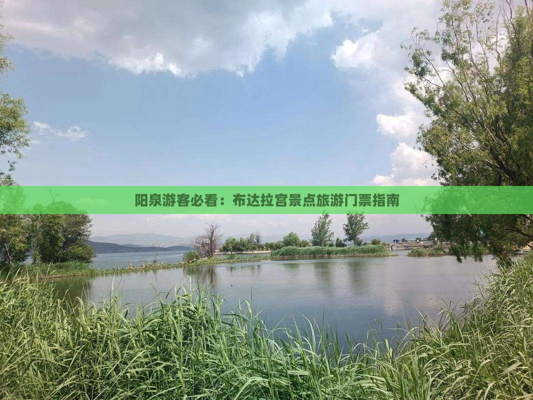 阳泉去西藏布达拉宫门票