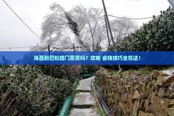 海西到西藏巴松措门票