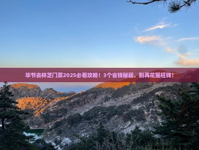 毕节去西藏林芝门票