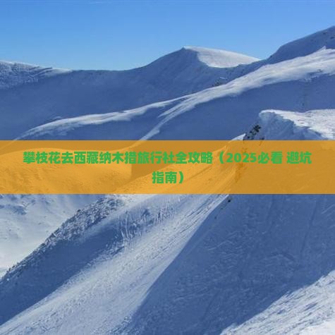 攀枝花去西藏纳木措旅行社