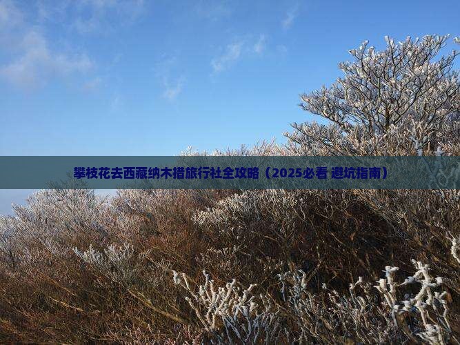 攀枝花去西藏纳木措旅行社