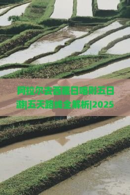 阿拉尔去西藏日喀则五日游
