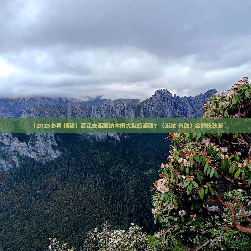 湛江去西藏纳木措大型旅游团
